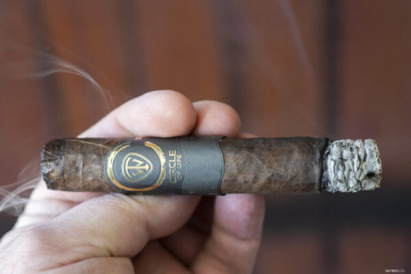 Circle of Life Robusto 2 768x512 YfXplv