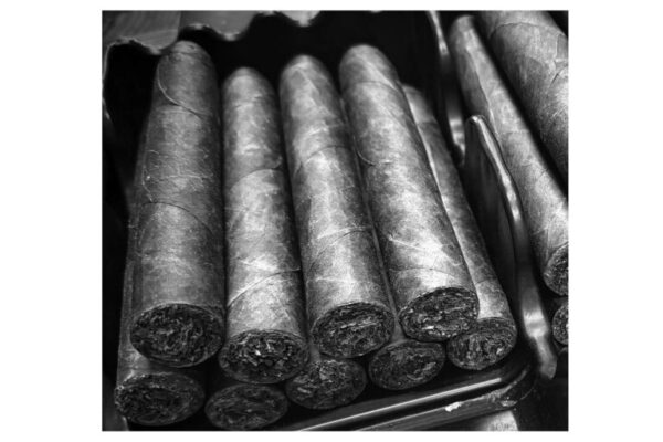 Dunbarton Tobacco Trust Mi Querida Gorila Gordo Feature 768x512 wzSVMt