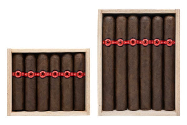 Fausto FT110 FT187 768x512 okSZVq