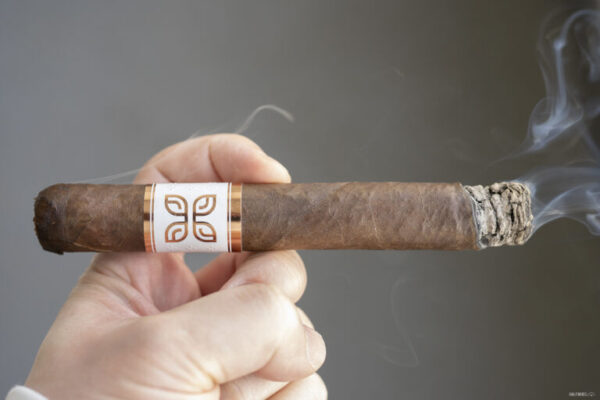 Peter James Emergence Sublime 2 768x512 21ZnOg