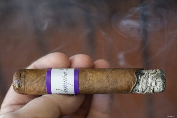 Viaje Vampire Dust Whispered Promise 2 768x512 Abbyj7