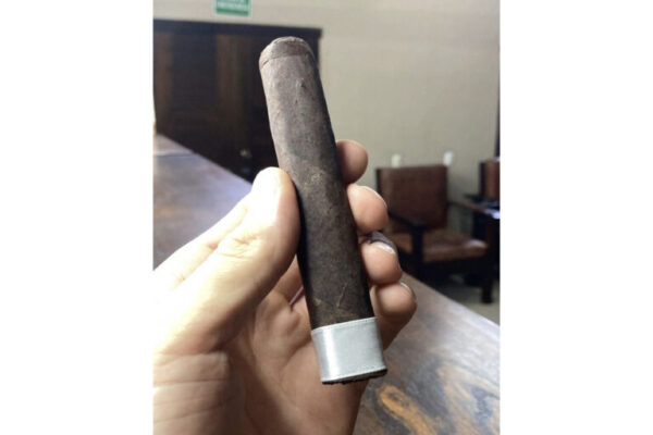 Viso Horny 555 feature 768x512 y43GfH