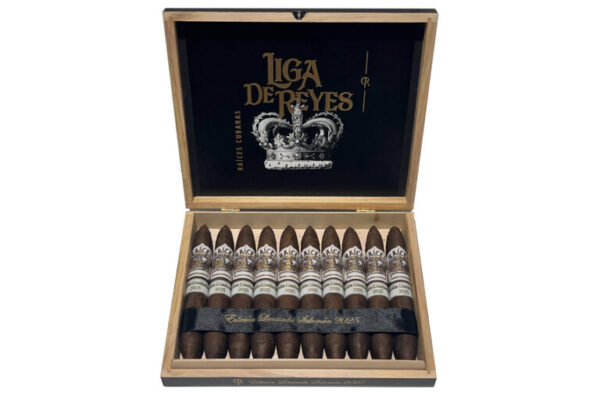 Liga de Reyes Salomon 768x512 obxi6e