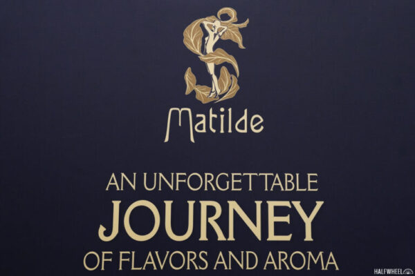 Matilde logo feature 768x512 sJw43D