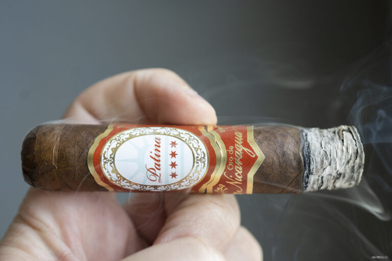 Patina Oro de Nicaragua Petite Robusto 2 768x512 pALJA5