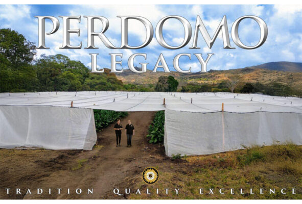 Perdomo Legacy teaser feature 768x520 HEji3z