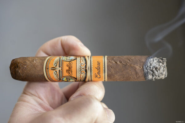 Perez Carrillo Endure Robusto 2 768x512 3Zn4Ts