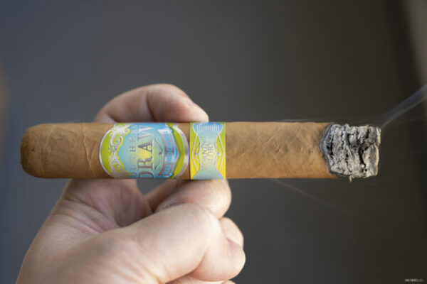 Southern Draw Morning Glory Robusto 2 768x512 CsAYuK