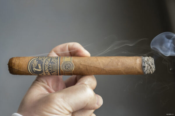 AGANORSA Leaf Aniversario 25 Edicion Limitada 2 768x512 dwG7zX