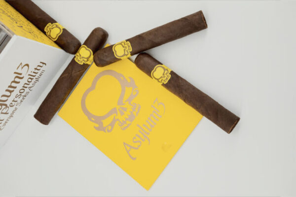 Asylum 13 Split Personality 2 768x512 AE4jLa