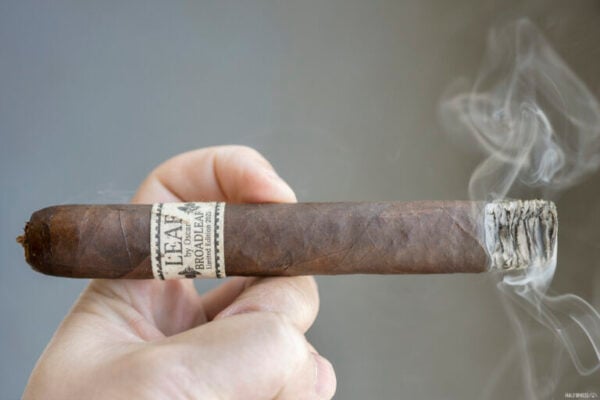 Leaf by Oscar Broadleaf Limited Edition 2025 2 768x512 c5Rwq3