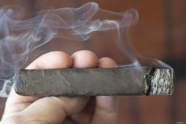 Viso Horny 555 2 768x512 Ng7B3y