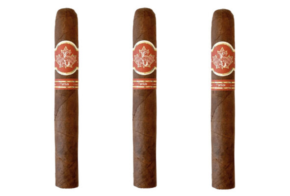 Matilda Exclusivo 2025 Canada feature 768x520 ycMM38