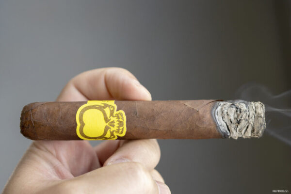 Asylum 13 Split Personality Robusto 2 768x512 qEijze