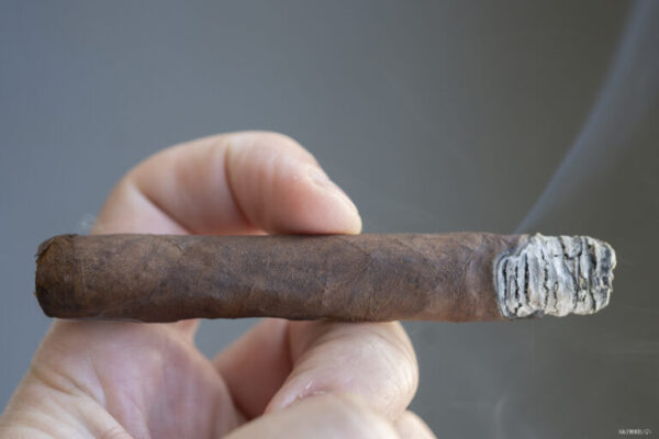 CAO Amazon Basin Daggers 2 768x512 CETcaG