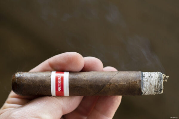 DSC03554 768x512 RczmM1