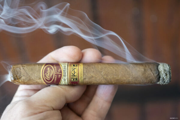 Padron A Hammer A Dream Natural 2 768x512 SvkNfG