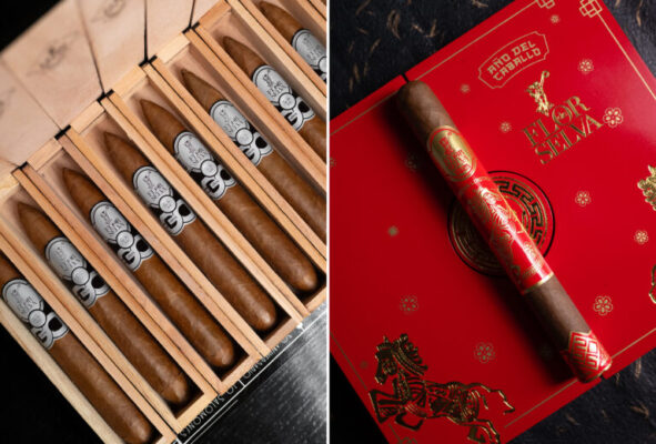 Maya Selva Salomon 30 Anos Ano del Caballo feature 768x520 SICGwb