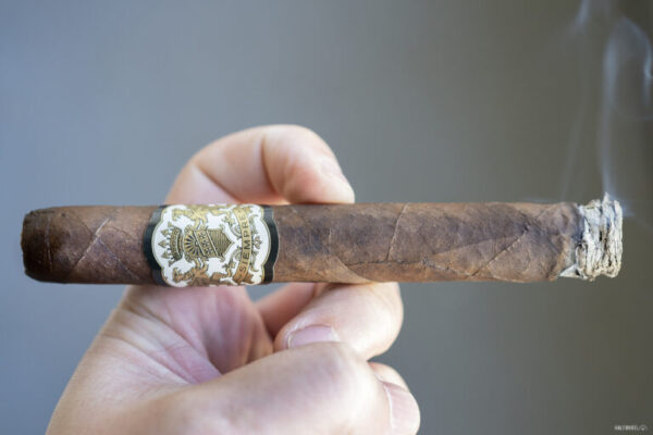 Dapper Siempre Rosado Corona 768x512 dtWXLZ