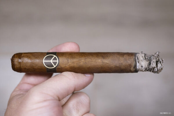 OneOff Black and Tan Toro 2 768x512 eB8OhD