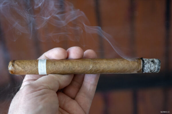 Tatuaje The Mummy Redux 5 2 768x512 xDaj23