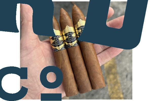 Warped Isla del Cocodrilo Croc Bites Feature 768x512 jZsDPt