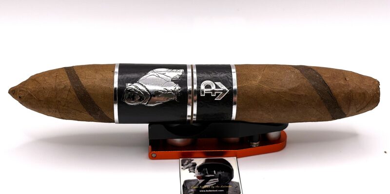 powstanie wojtek AY6xQD