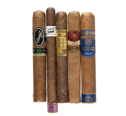 2025 Top 25 Contest Photo 768x708 VrcRB8