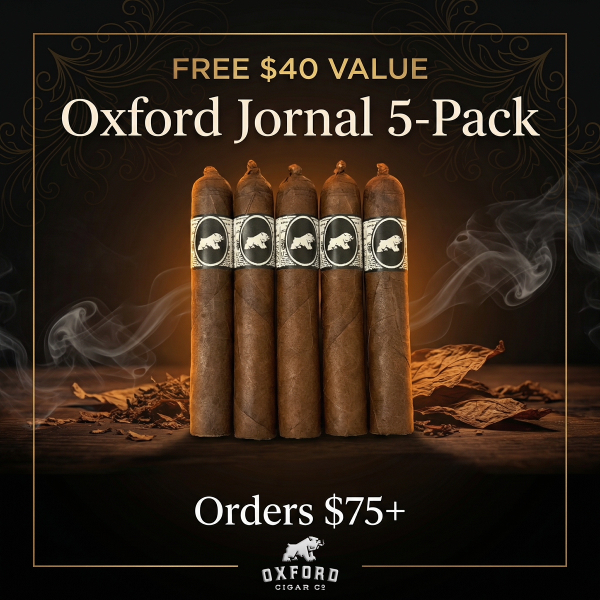 Oxford Jornal 5 Pack Promo e1770765679638