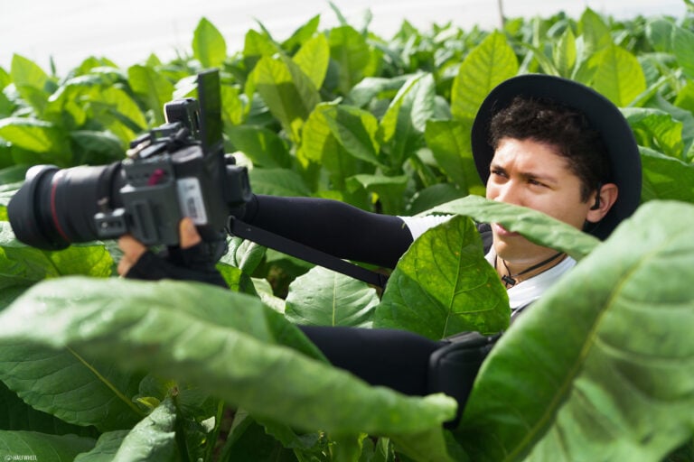 Camera in Tobacco Field Procigar 2026 768x512 hnKUJE