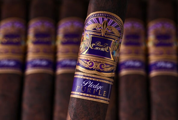 Casa Carrillo Perez Carrillo Pledge Purple feature 3 768x520 N7sgkg