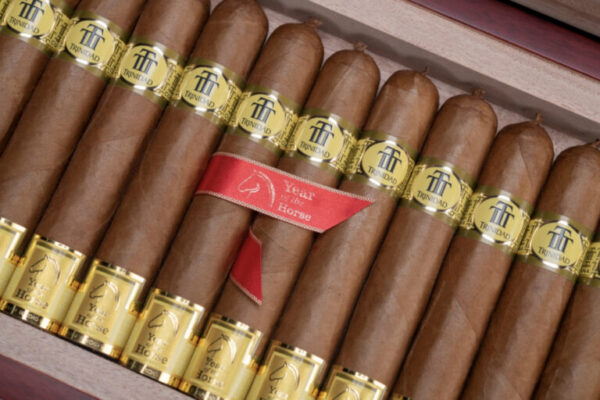 Trinidad Corcel 1 768x512 KkNZgR