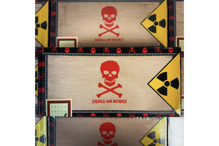 Viaje Skull and Bones Red 2026 Feature 768x512 SJSeCa