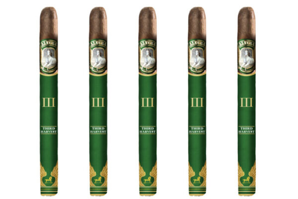 Natura Altura Third Harvest Lancero Feature 768x512 gl7My0