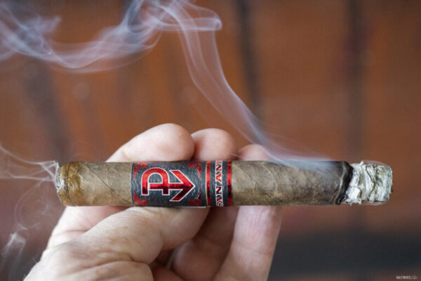 Powstanie San Andres Corona Gorda 2 768x512 Bkeqnx