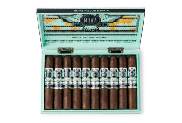 Platinum Nova Royal Falcon Robusto open box feature 768x520 UvtsR9