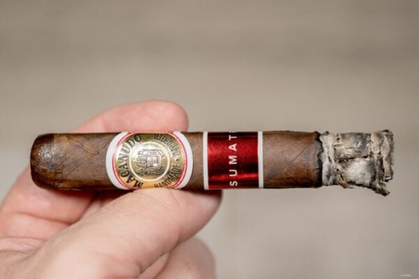Macanudo Sumatra Robusto 2 768x512 EczvuP