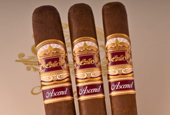 Perez Carrillo Ascend feature 1 768x520 kG6jng