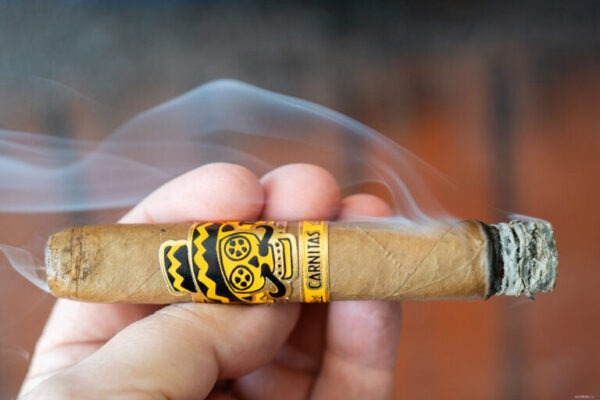Rojas Street Tacos Carnitas Robusto 768x512 5Yemna