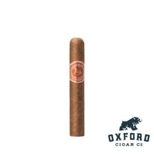 Casdagli Daughters of the Wind Rosado Line - Image 4