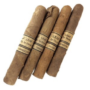 Leaf by Oscar Toro Selection