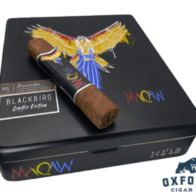 Blackbird Macaw Limited Edition