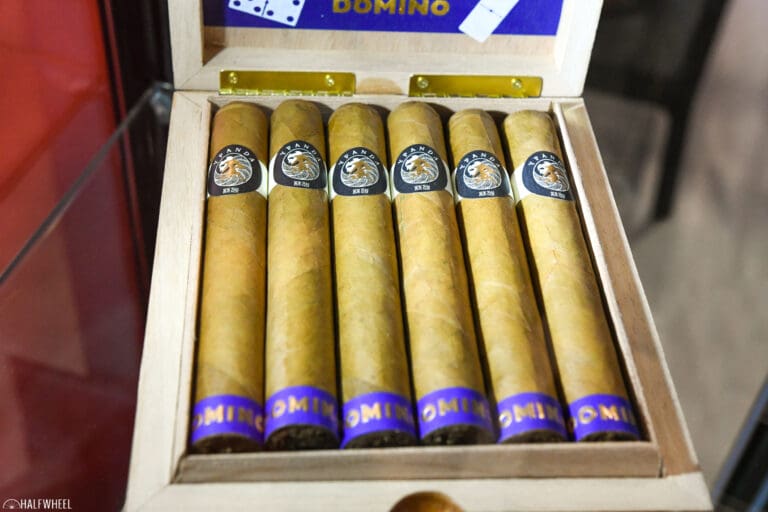 Y Panda Domino Toro 768x512 B4OpET