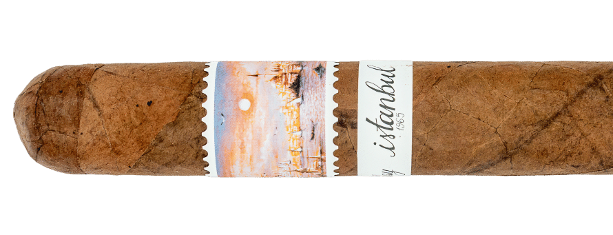 DSC08014 Edit 890x341 sT43ME