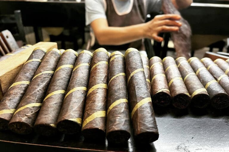 CroMagnon Clovis 768x512 JrLO7C