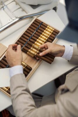 Meerapfel 4 683x1024 fkMYmK