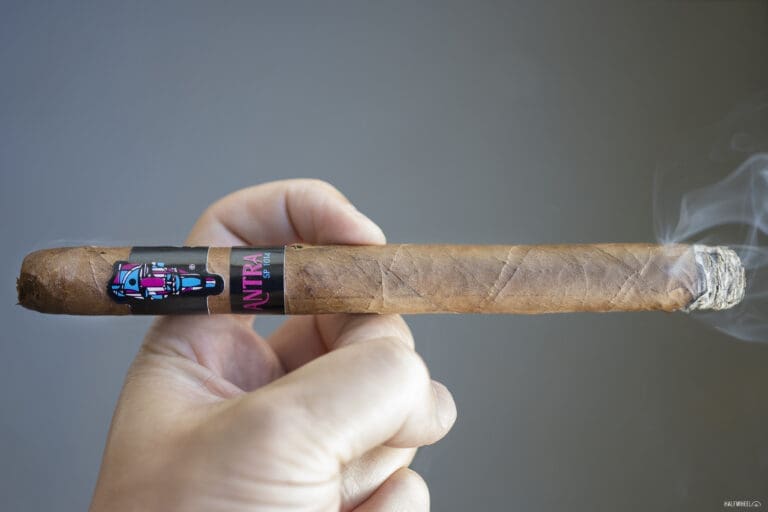 SP1014 Antra 2 768x512 ukm1zg