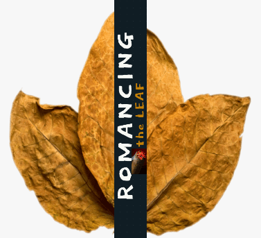 rtl finished site icon KwywA4