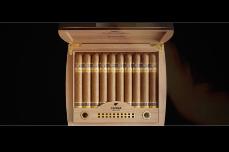 Cohiba Vistosos 1 768x512 D3jBmK