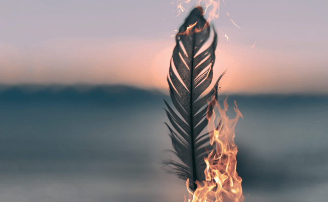 phoenix rising d2slj4